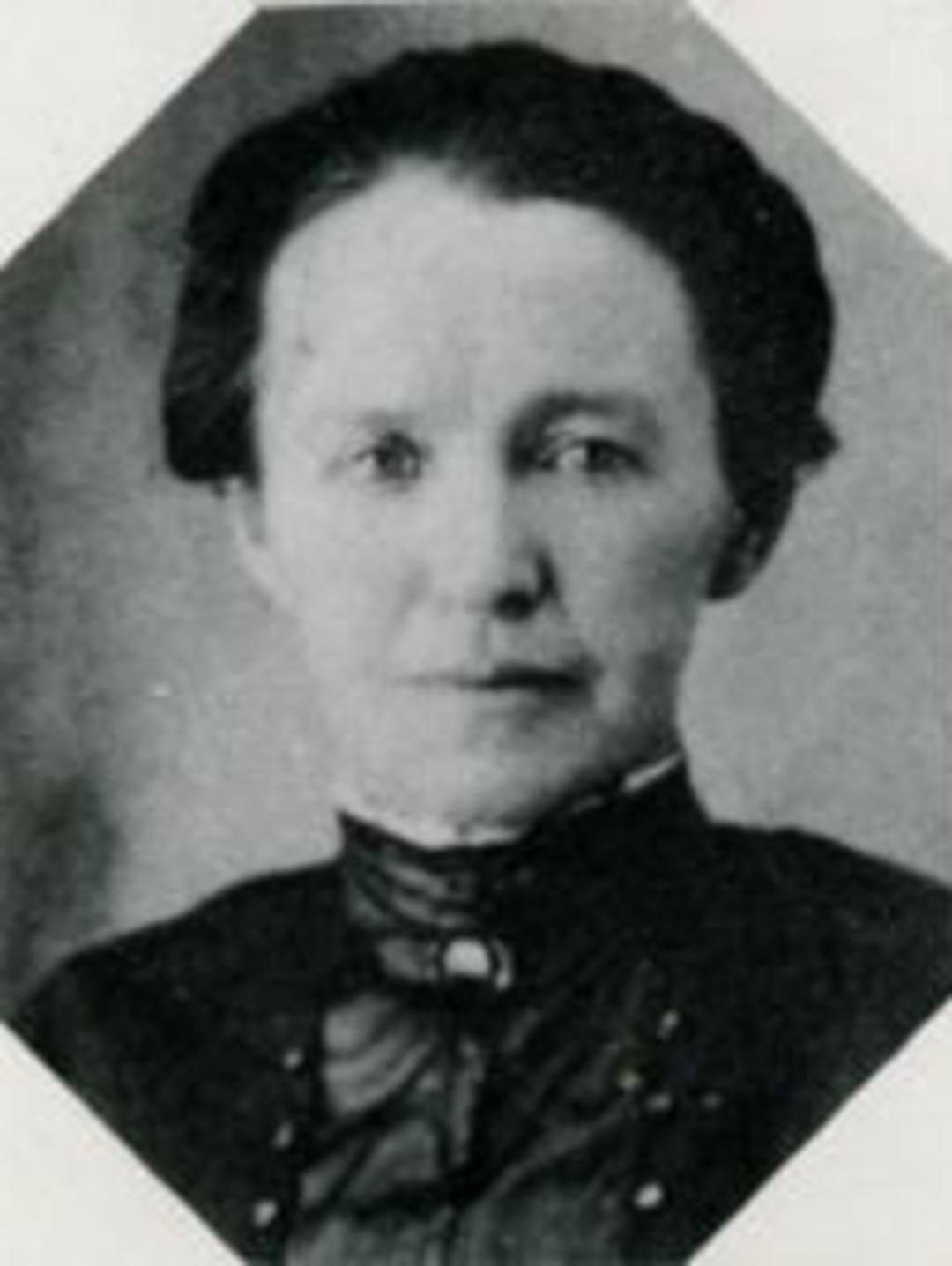 Alice Eckersley (1860 - 1950) Profile